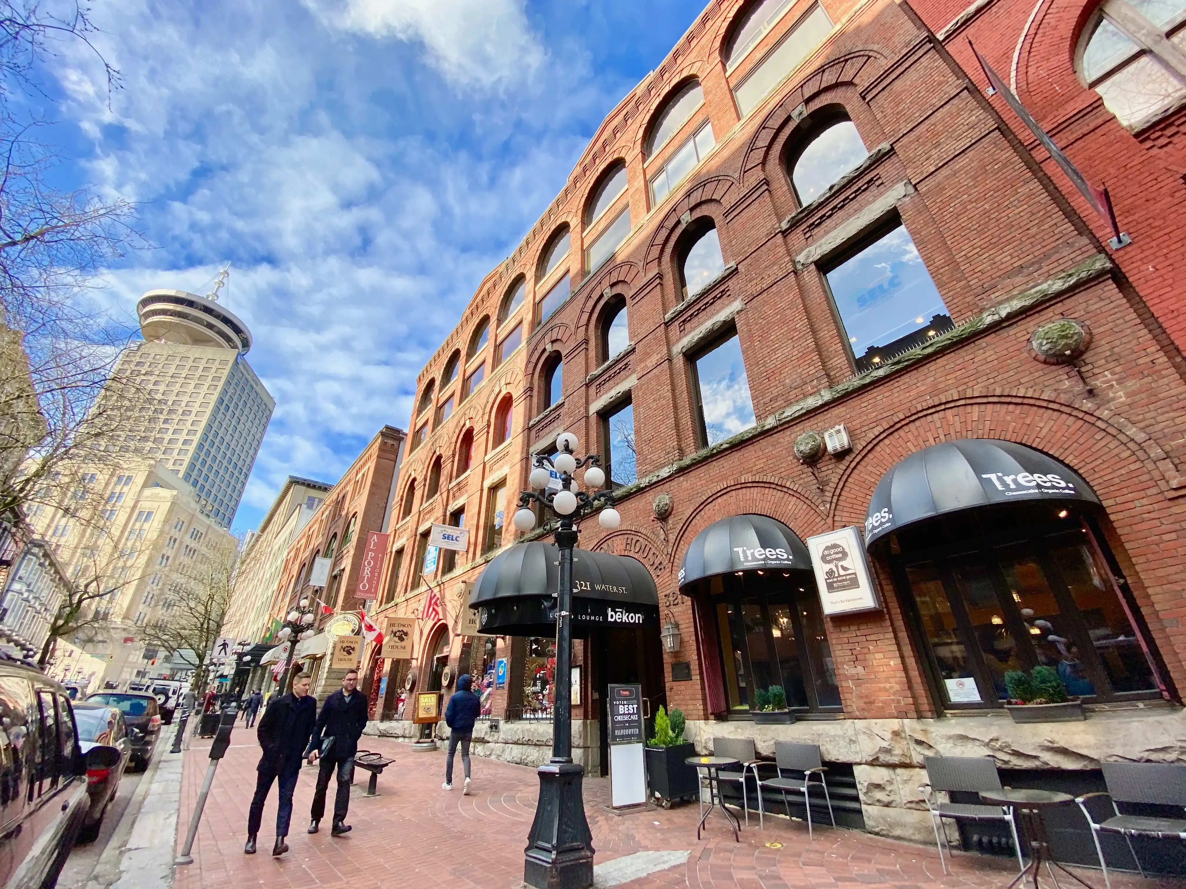 記事「SELC English Language Centres」のサムネイル