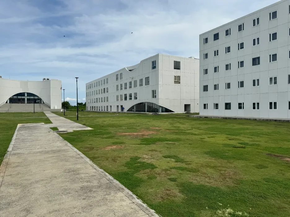 記事「LCIC」のサムネイル