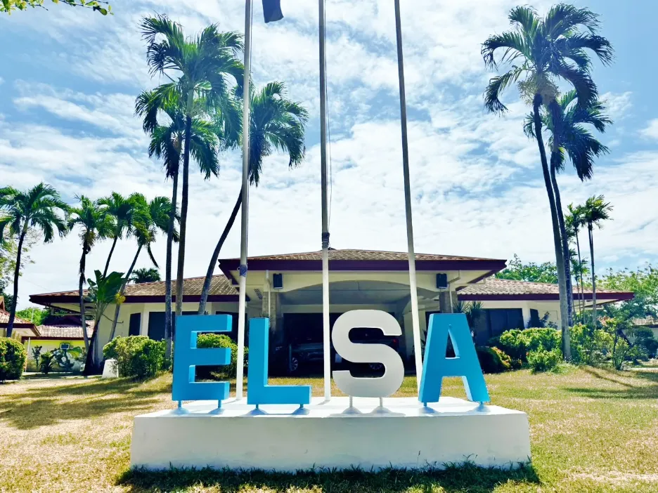 記事「ELSA」のサムネイル