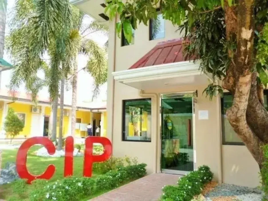 記事「CIP English Academy」のサムネイル