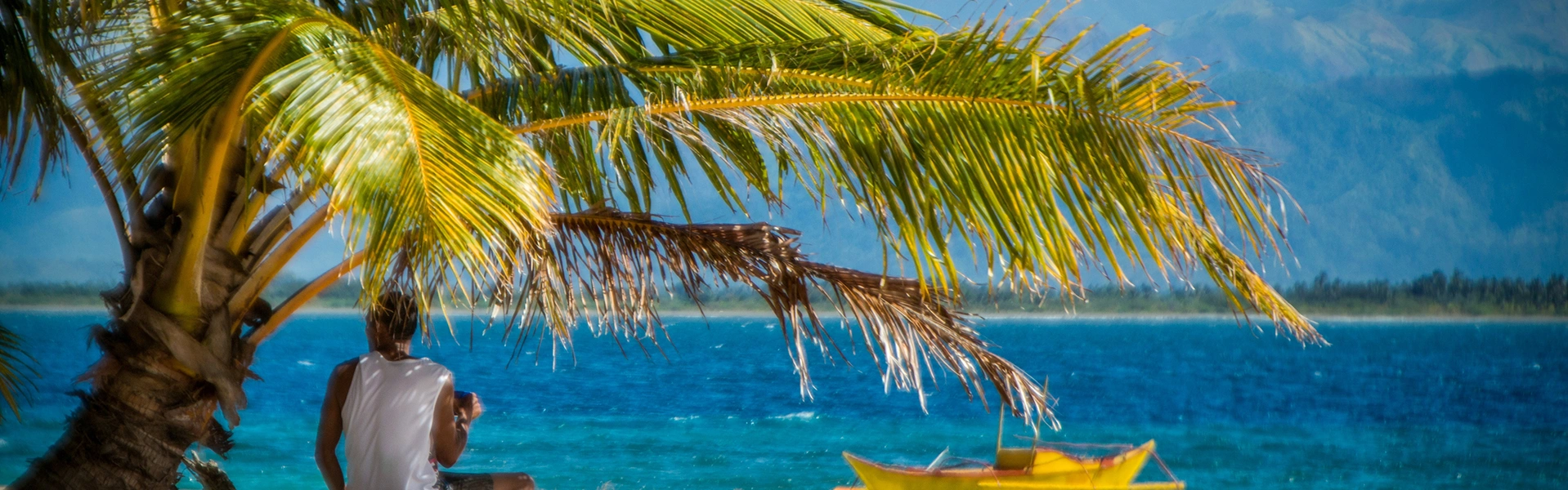 フィリピン留学をイメージした南国の海とヤシの木の風景
