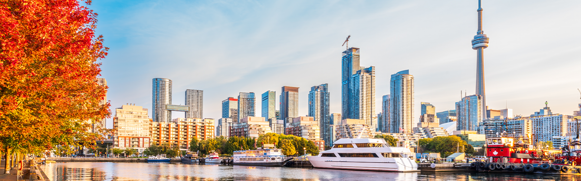 カナダ留学の魅力|トロントの街並みと美しい湖畔で安心して英語を学べる人気留学先