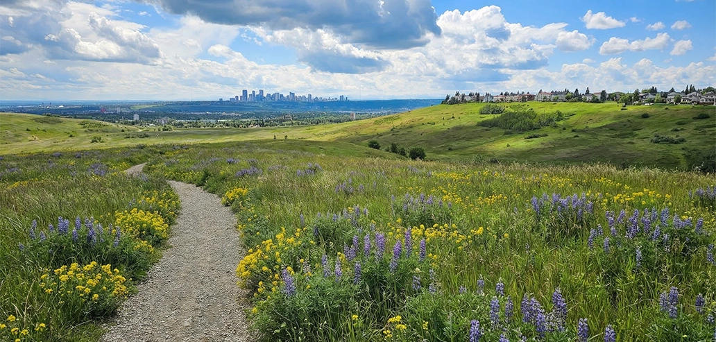 ノーズヒル公園