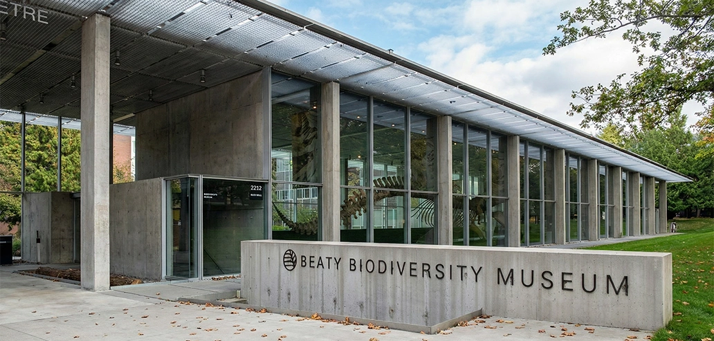 ビーティー生物多様性博物館のクジラの骨格標本