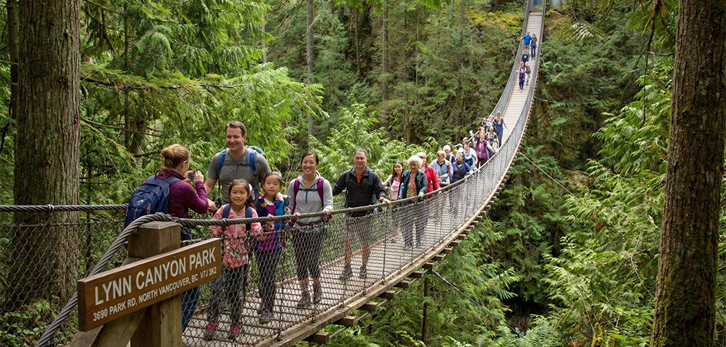 リンキャニオンパークの吊り橋