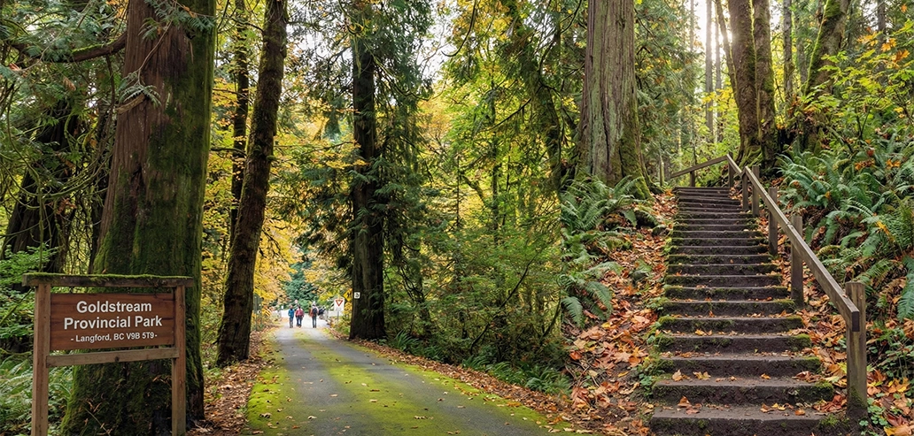 ゴールドストリーム州立公園