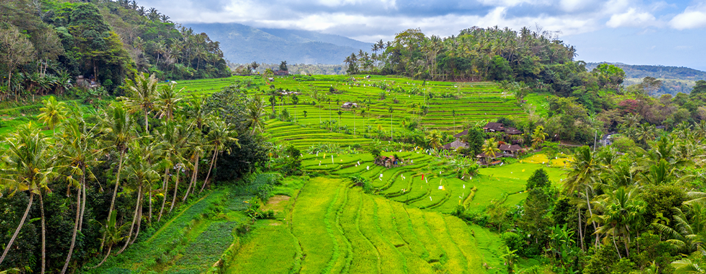 「インドネシア留学の注意点：英語ネイティブ環境ではない点と医療・通信の違い」