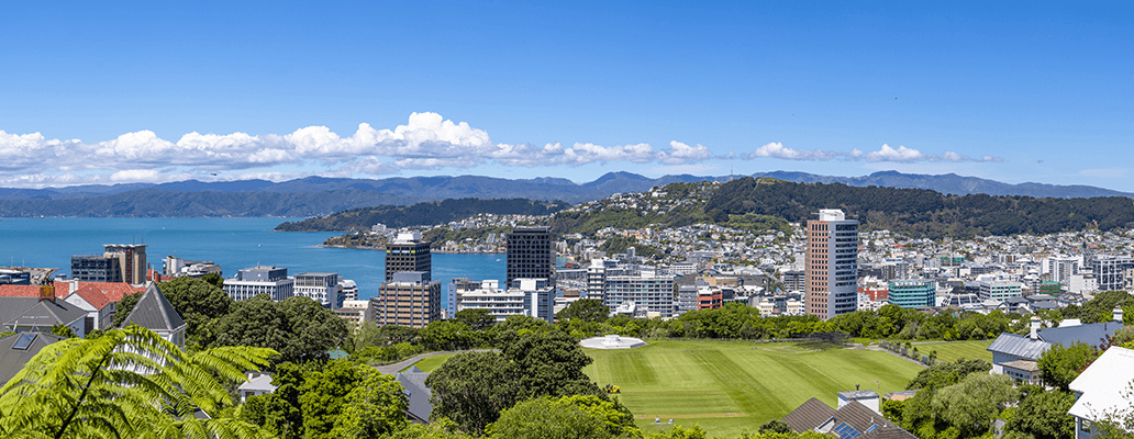  ニュージーランド留学費用 | ニュージーランドの都市全体を見渡せる街並み