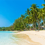 リゾート環境で勉強できる留学先のビーチ風景