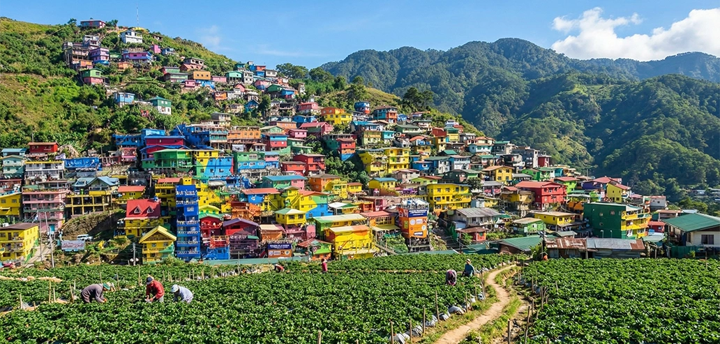 ラ・トリニダッドのストロベリーファーム