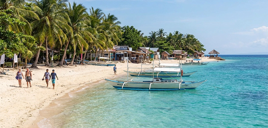 ヤシの木が並ぶ穏やかな南国ビーチ