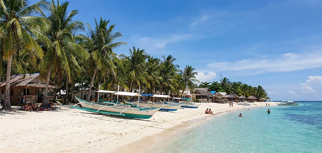 静かな海岸線とヤシの木が並ぶ南国ビーチ