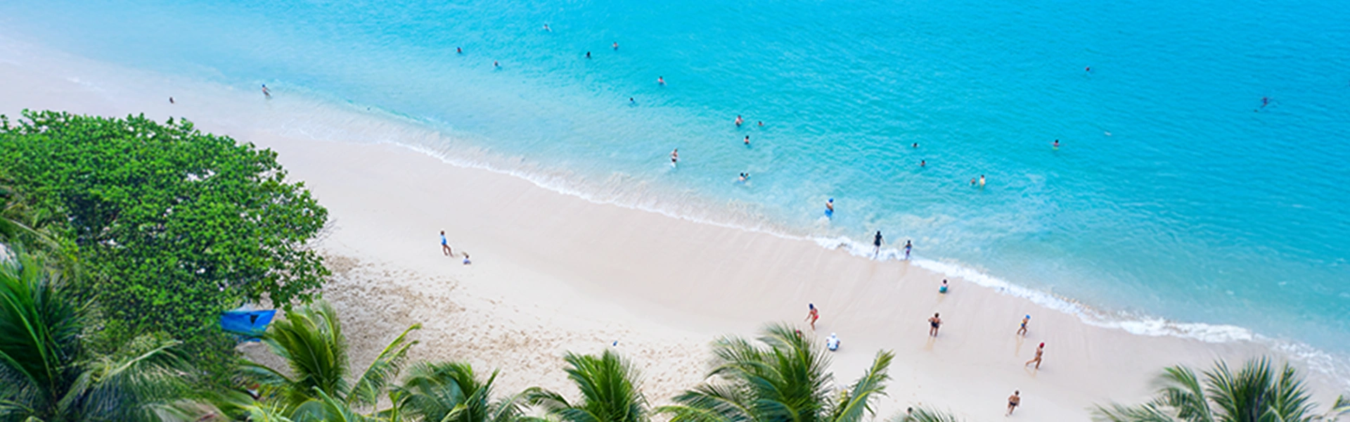 上空から見た白い砂浜と透明な海が広がる南国のビーチ