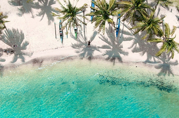 留学について相談する様子