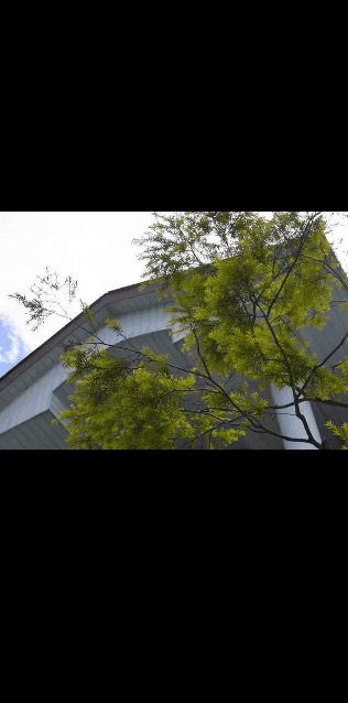 API BECI Sparta Campus