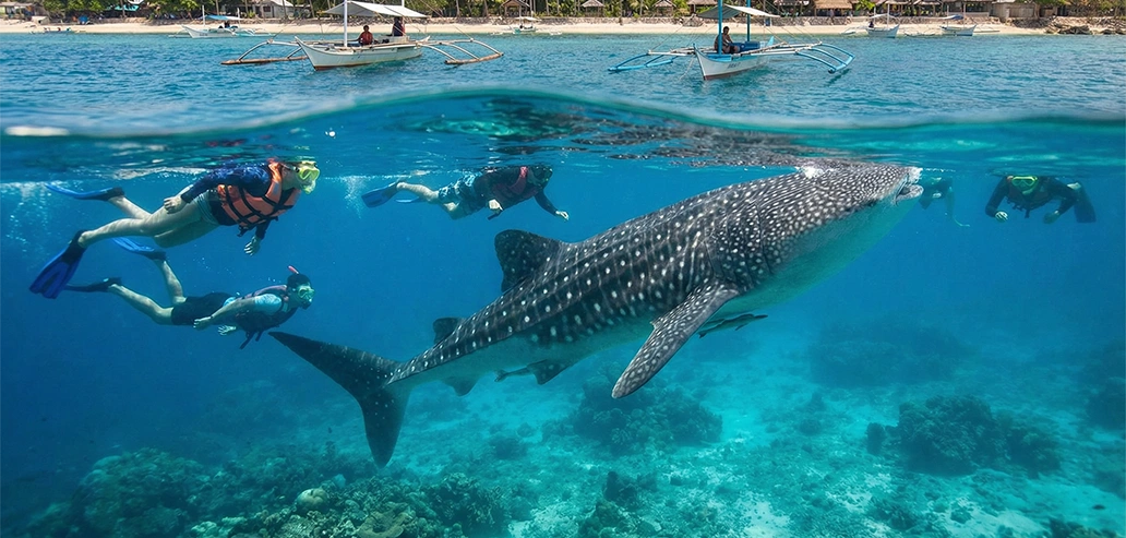 南国の雰囲気が漂うドゥマゲテの海岸