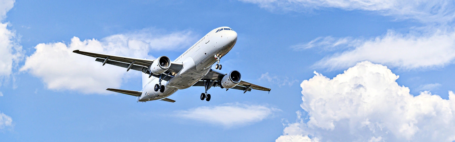 青空の下を飛行する旅客機の様子