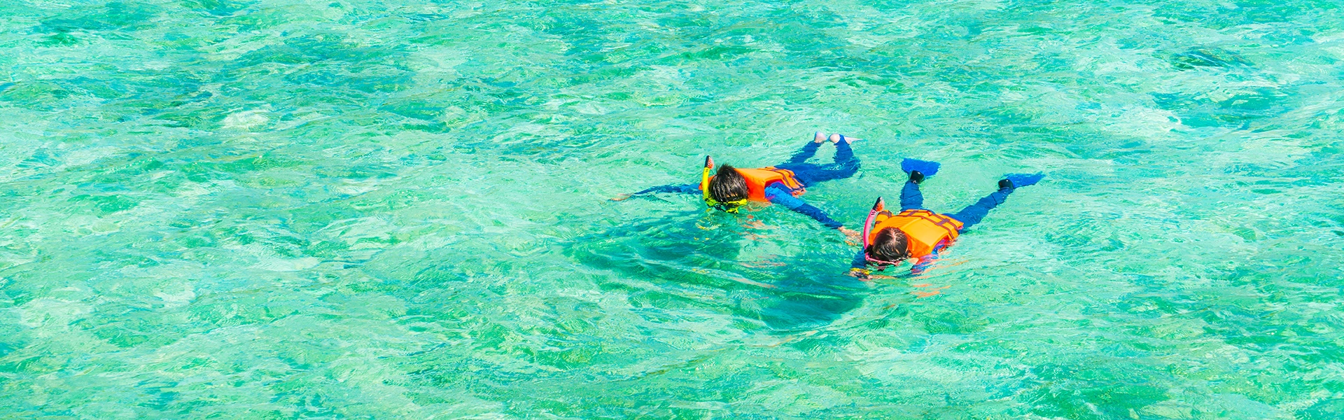 透き通った海でシュノーケリングを楽しむ留学生