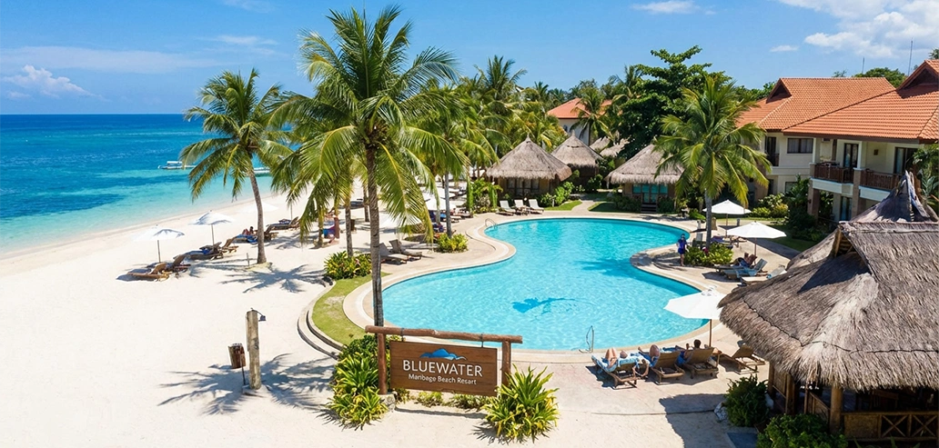 ヤシの木に囲まれたビーチサイドプール