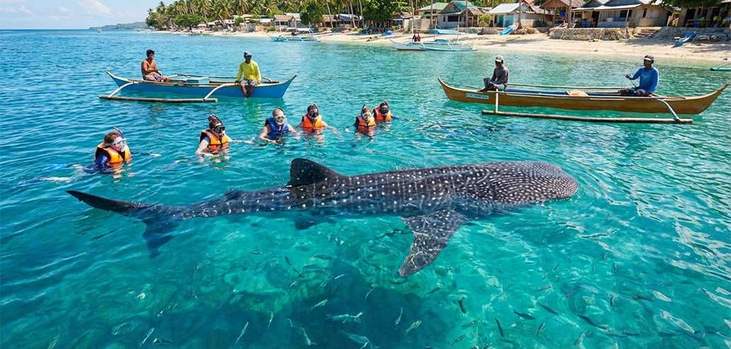 シュノーケリングを楽しむ人々と浅瀬の海