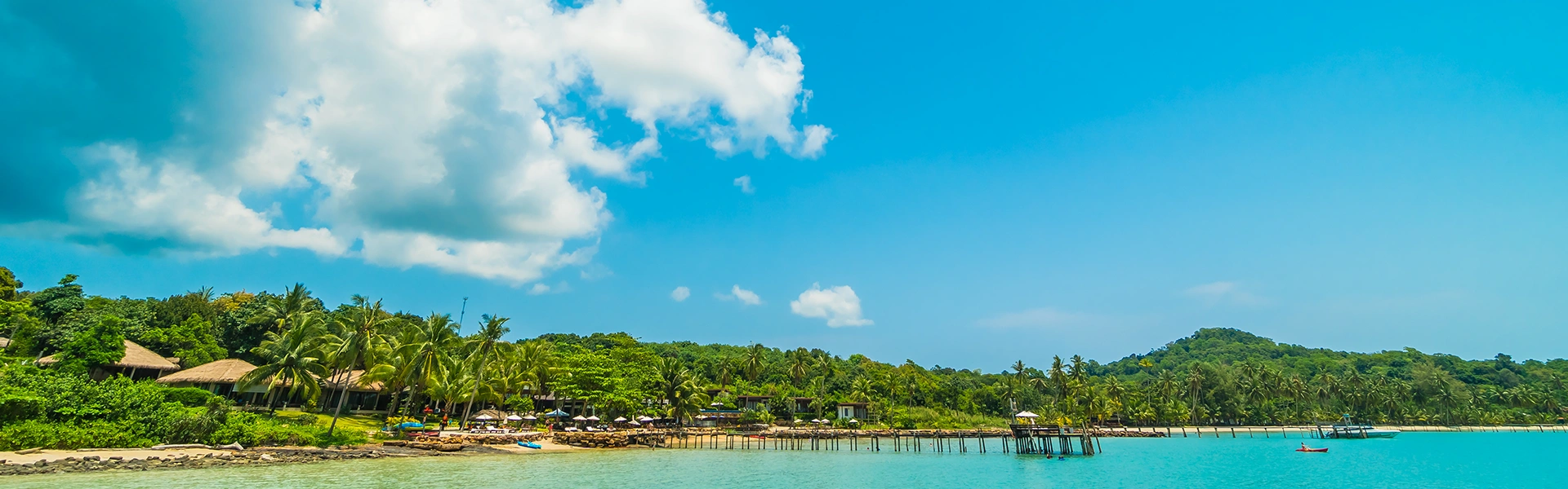 フィリピンの温暖な気候を感じられる南国の自然風景