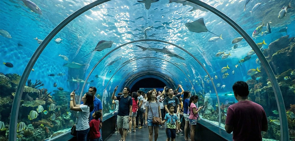 オーシャンパークの楽しみ方