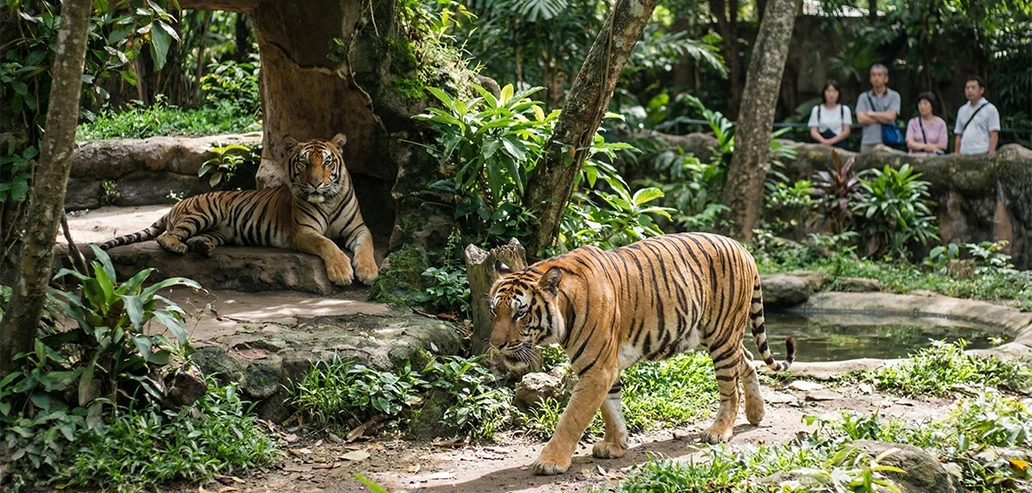 動物園の楽しみ方