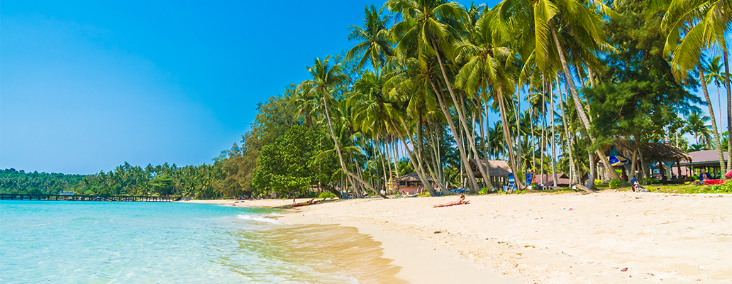 フィリピン留学の魅力｜美しいビーチとヤシの木に囲まれたリゾート環境で快適な英語学習