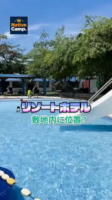 緑の木々に囲まれたプールエリア、屋外の自然環境