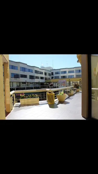 TALK English School San Fransisco