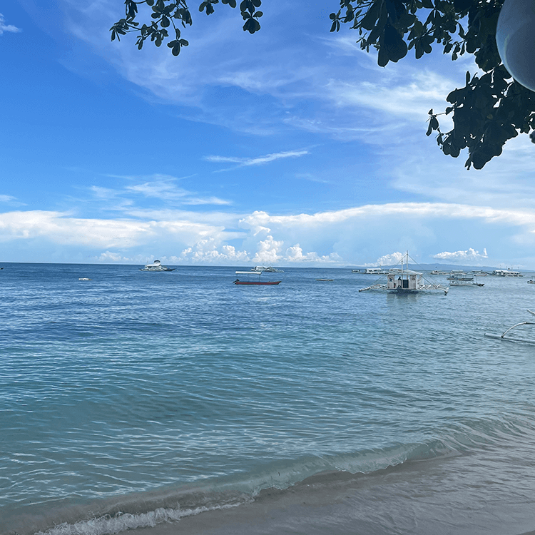木陰から見た青い海と空、砂浜の波打ち際に複数のボートが停泊している自然の景色