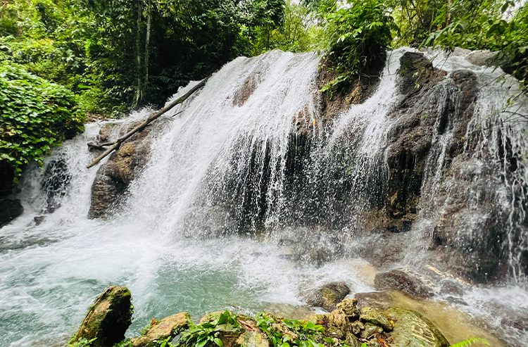 緑豊かな森の中を流れる多段の滝と岩場の自然景色