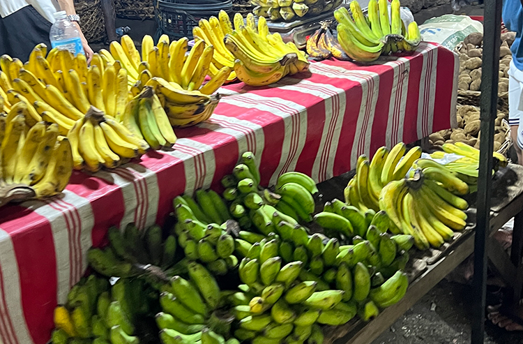 赤白の柄テーブルクロスの上に並ぶ黄色と緑のバナナの屋外市場