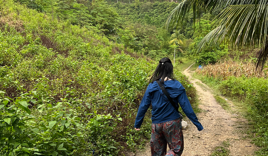 青いジャケットを着た人物が熱帯植物に囲まれた土の道を歩く屋外の自然景色