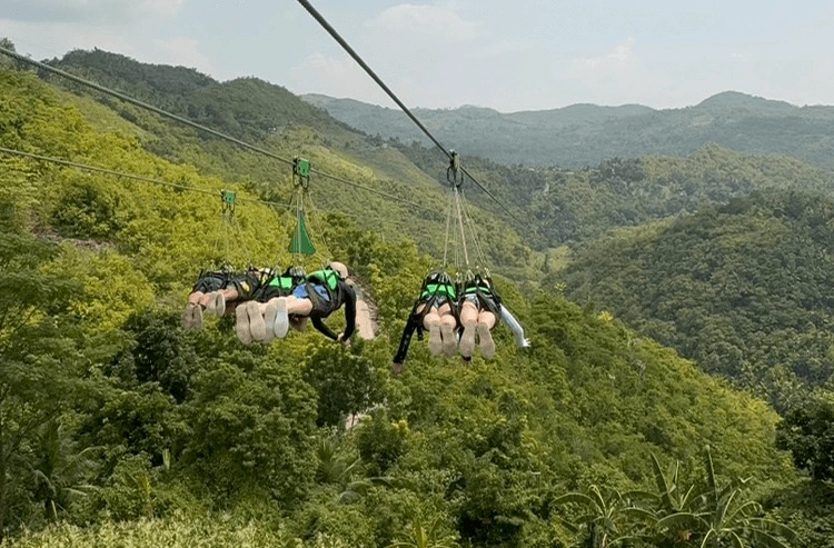 木陰から見た青い海と空、砂浜の波打ち際に複数のボートが停泊している自然の景色