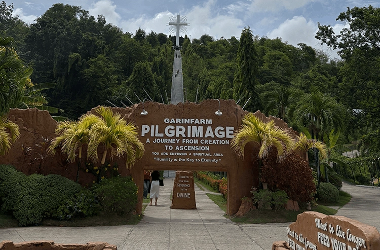 黒いプレートに盛られたフライドチキン、ライス、野菜の食事
