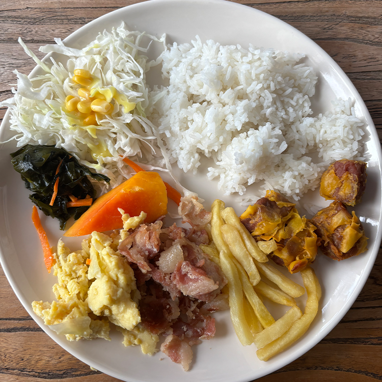 白い皿に盛られた食事、白米と野菜炒め、卵料理などの様々なおかず