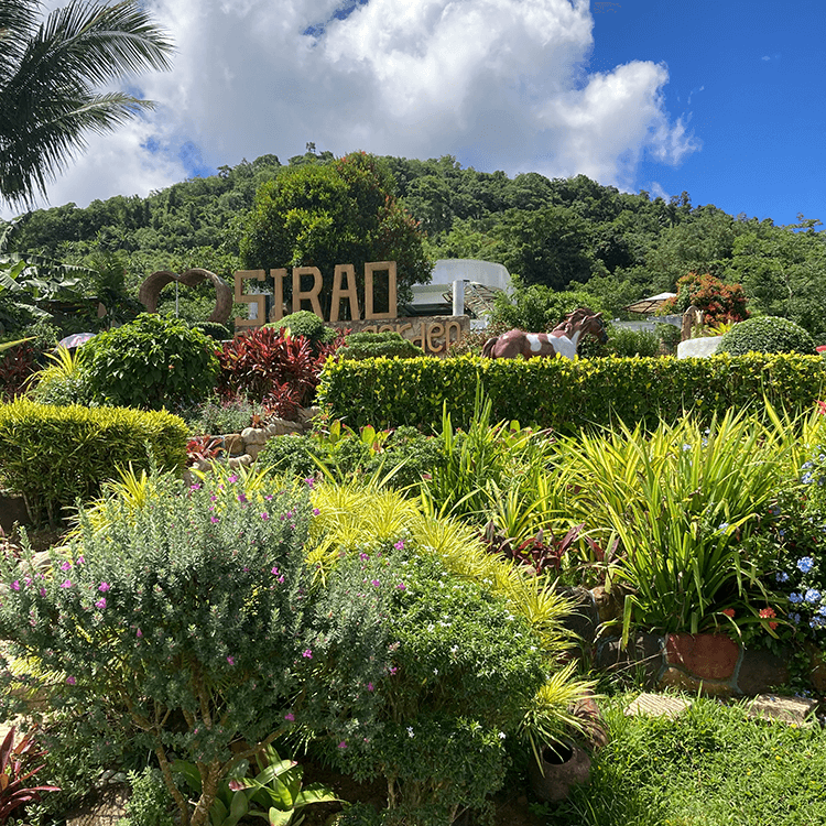 緑豊かな自然に囲まれた屋外のガーデンエリアの景色