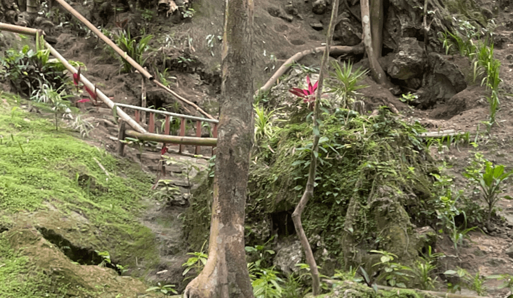 緑の植物と木製手すりがある屋外の自然な岩場と土の斜面