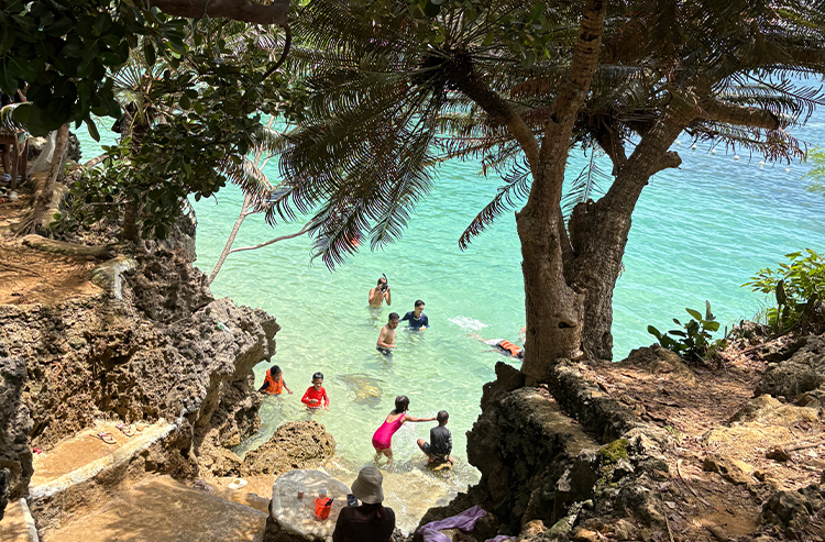 人々が透明な青い海で泳いでいる岩場の海岸でヤシの木がある屋外の自然景色