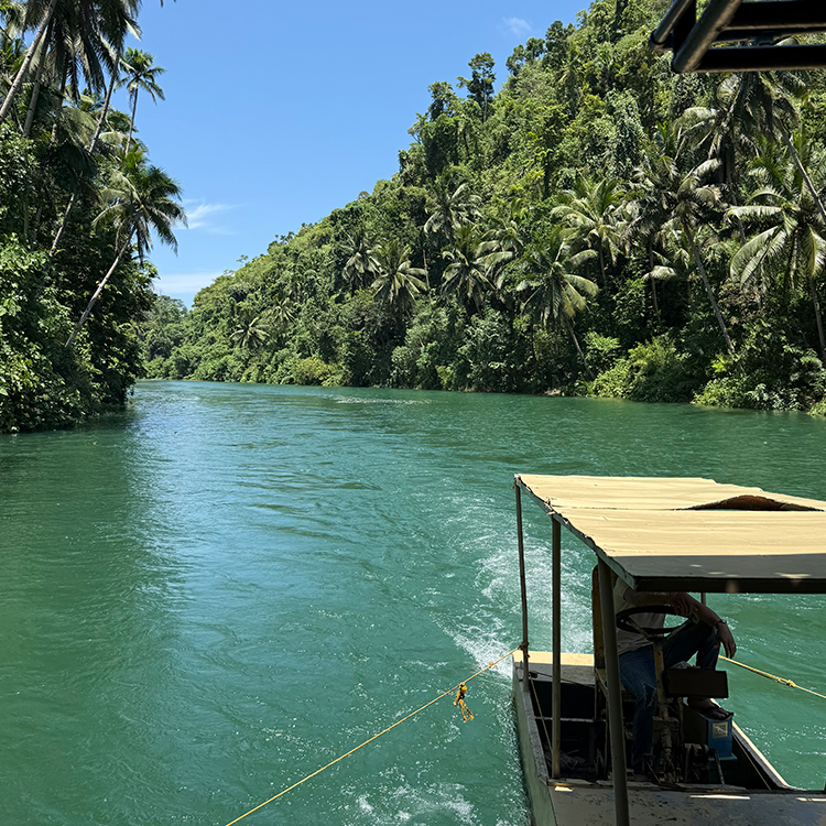 緑の川でボートが航行している熱帯の森とヤシの木に囲まれた屋外の自然景色