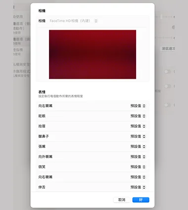 系統設定中的相機詳細設定頁面