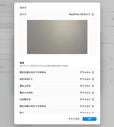 システム設定のカメラ設定詳細画面