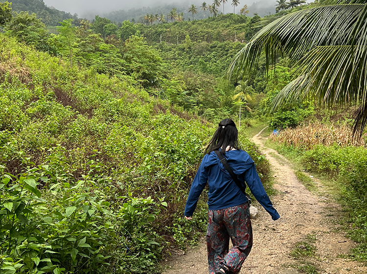 青いジャケットを着た人物が熱帯植物に囲まれた土の道を歩く屋外の自然景色